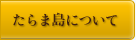 たらま島について